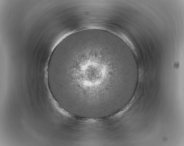 X0000091360814200708101418