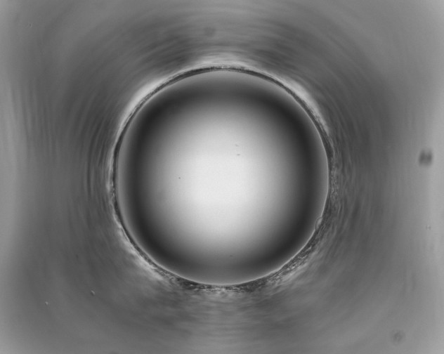 X0000091360815200708101418