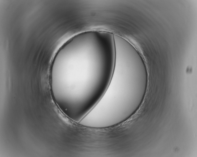 X0000091360816200708101418
