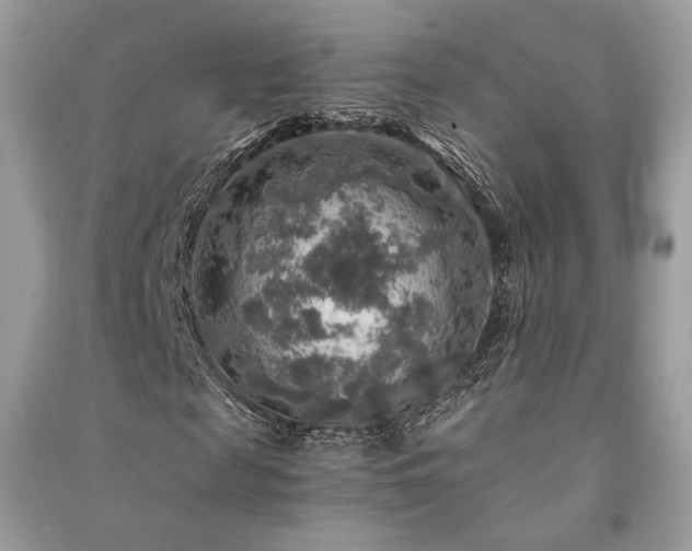 X0000091360817200708101417