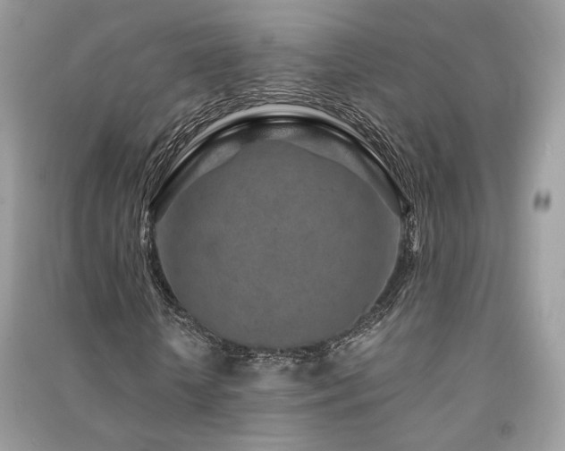 X0000091360818200708101417
