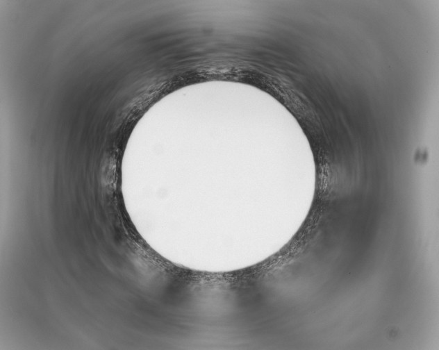 X0000091360820200708101417