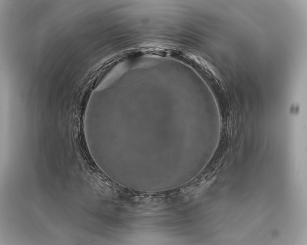 X0000091360821200708101417