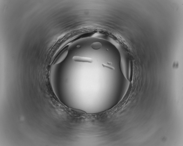 X0000091360822200708101417