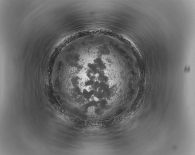 X0000091360823200708101417