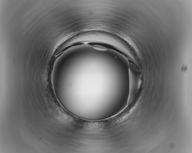 X0000091360826200708101417