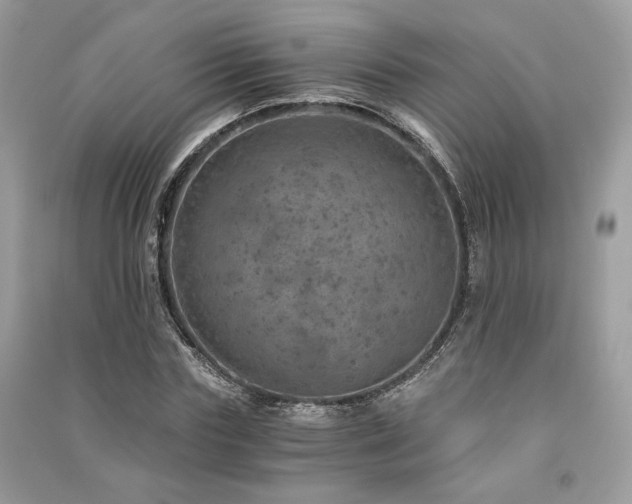 X0000091360827200708101417