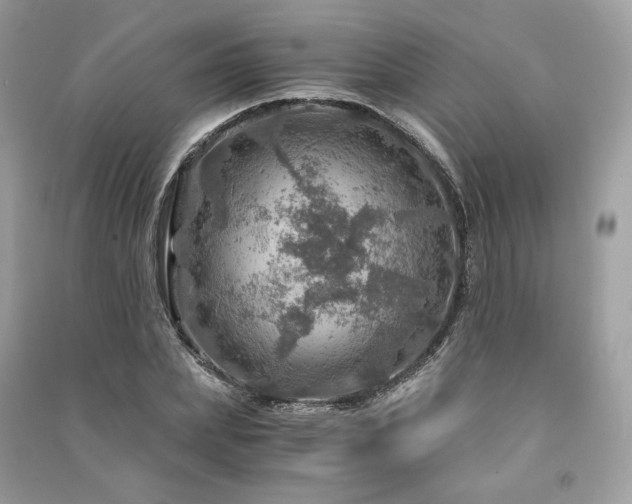 X0000091360831200708101417