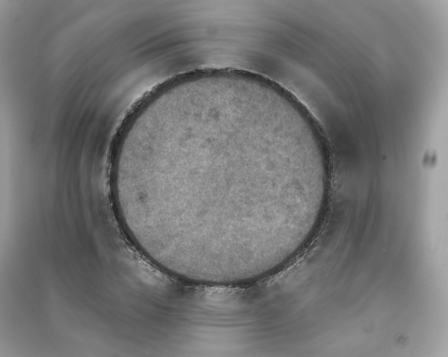 X0000091360832200708101417