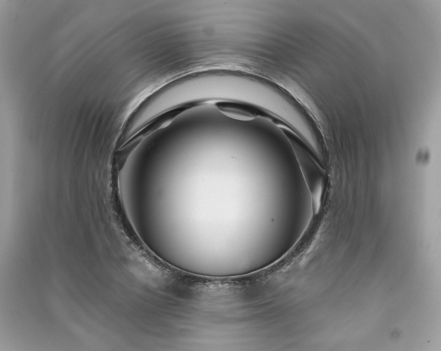 X0000091360834200708101417