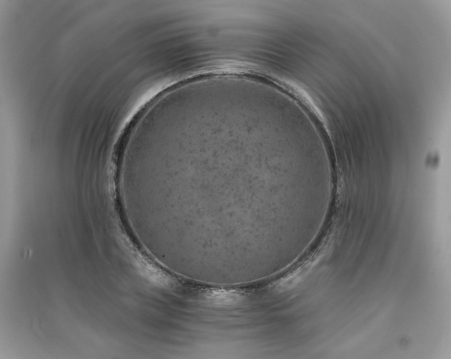 X0000091360835200708101417
