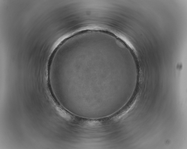 X0000091360837200708101417