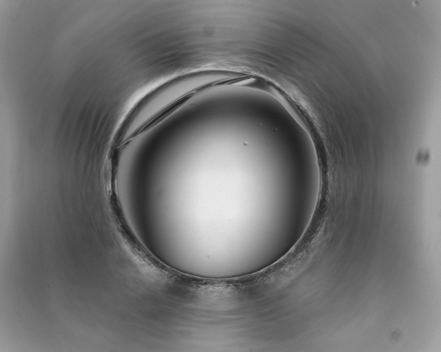 X0000091360838200708101417