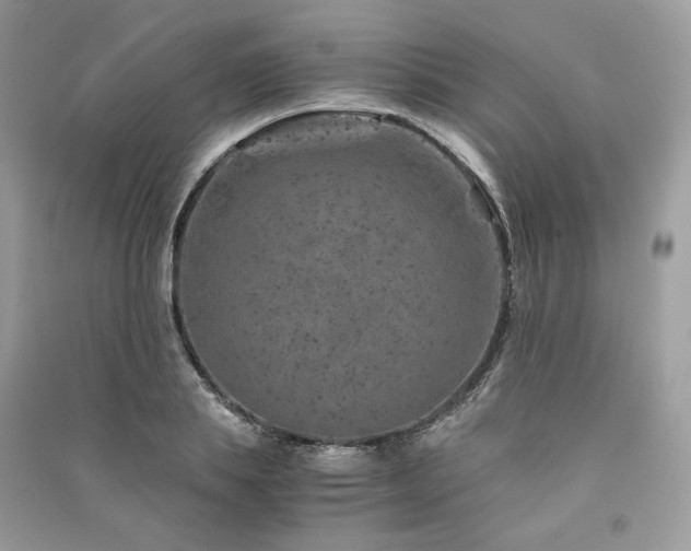 X0000091360839200708101417