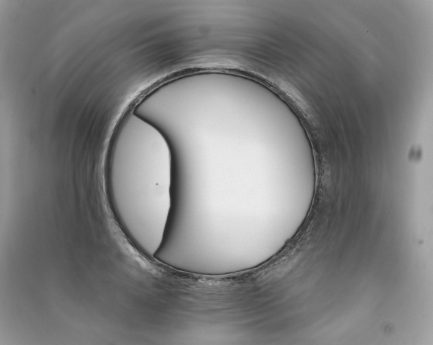 X0000091360840200708101418