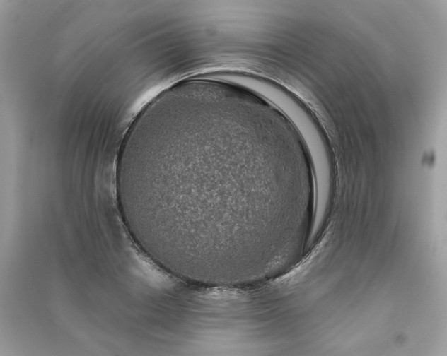 X0000091360842200708101418