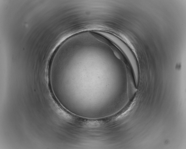 X0000091360843200708101418