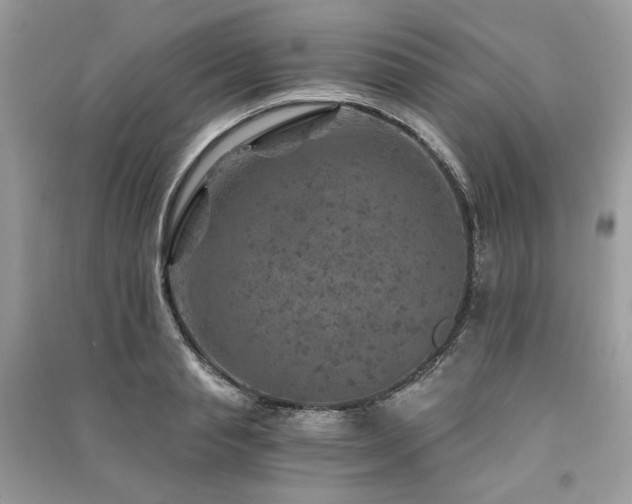 X0000091360845200708101418