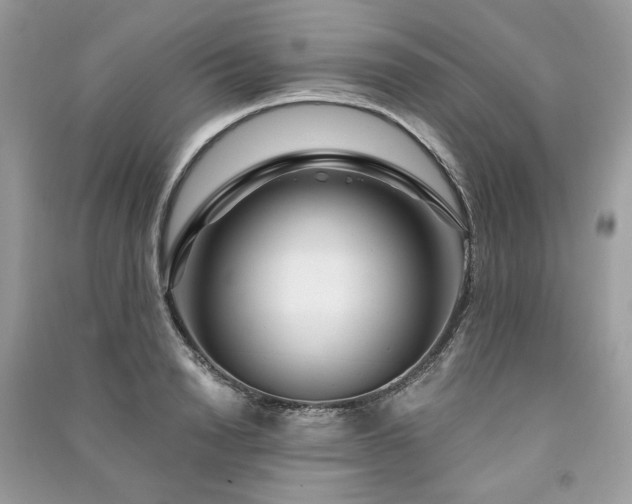 X0000091360846200708101418