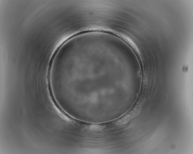 X0000091360847200708101418