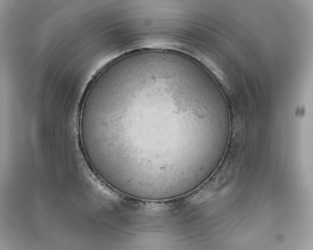 X0000091360848200708101418