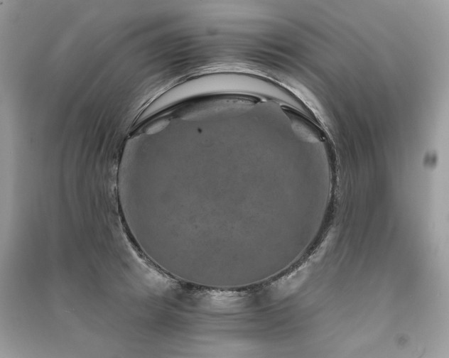 X0000091360849200708101418