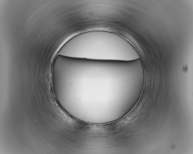 X0000091360852200708101418