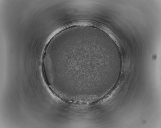 X0000091360853200708101418