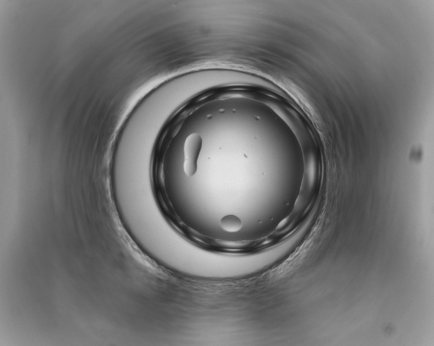 X0000091360854200708101418