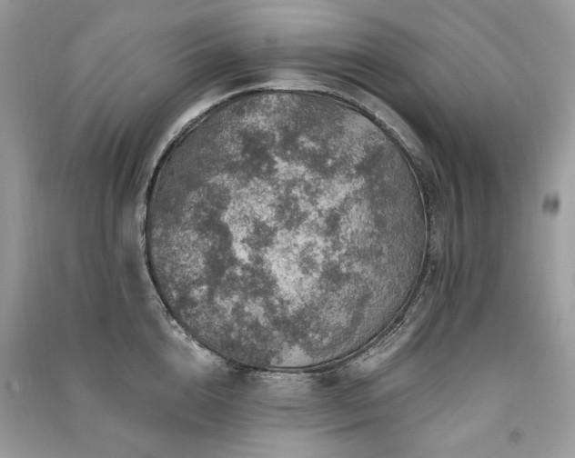 X0000091360856200708101418