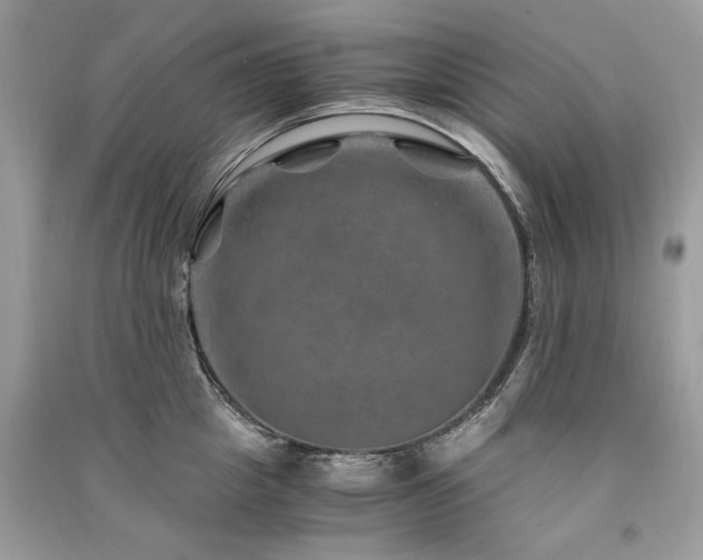 X0000091360857200708101418
