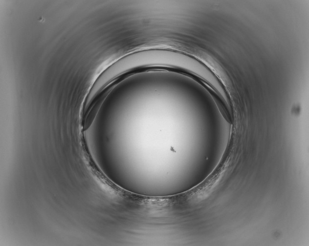 X0000091360858200708101418