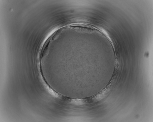 X0000091360859200708101418