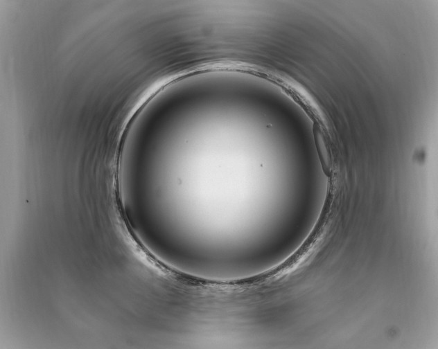 X0000091360860200708101418