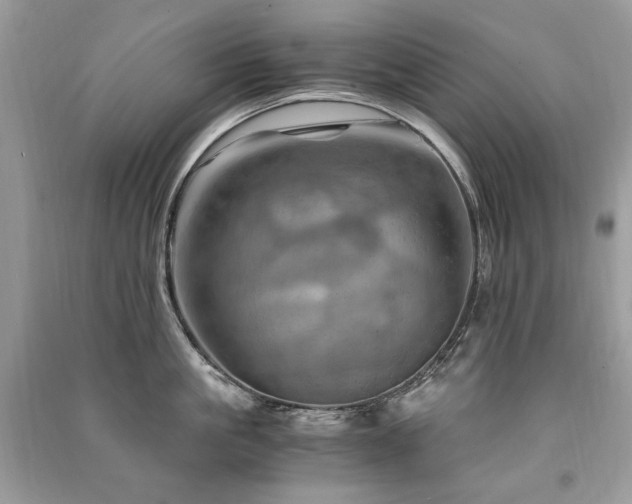 X0000091360861200708101418