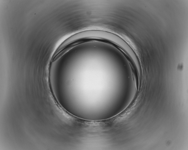 X0000091360862200708101418