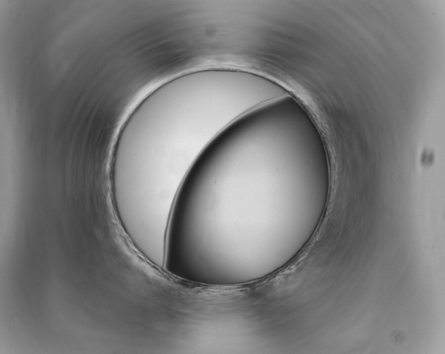 X0000091360864200708101418