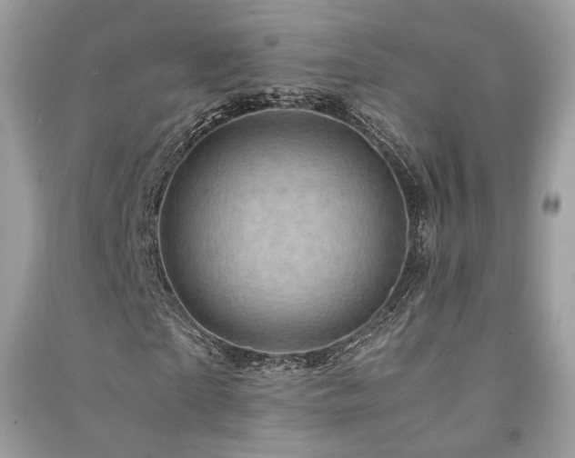 X0000091360865200708101417