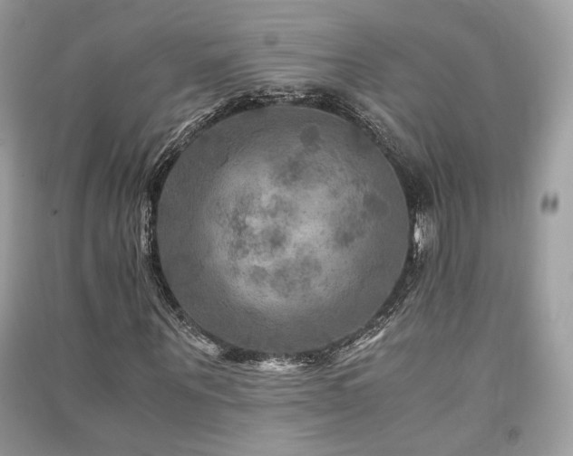 X0000091360867200708101417