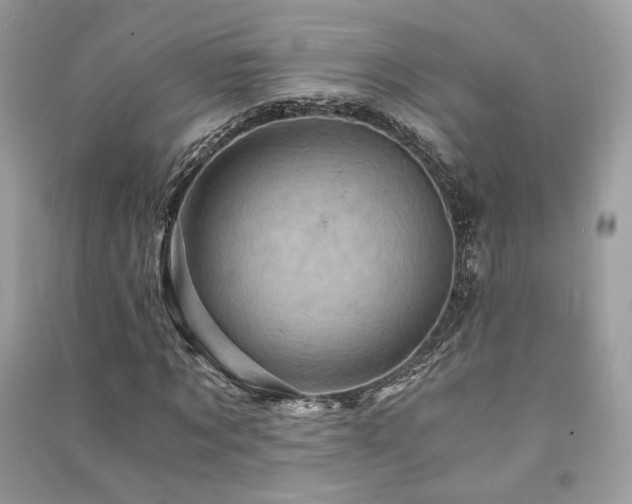 X0000091360869200708101417