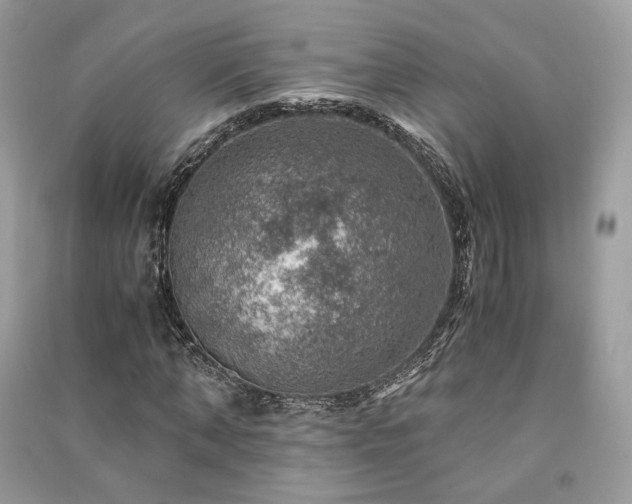 X0000091360870200708101417