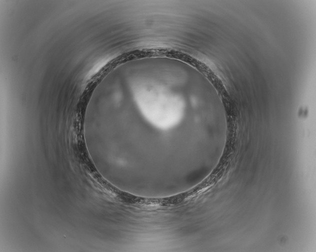 X0000091360871200708101417