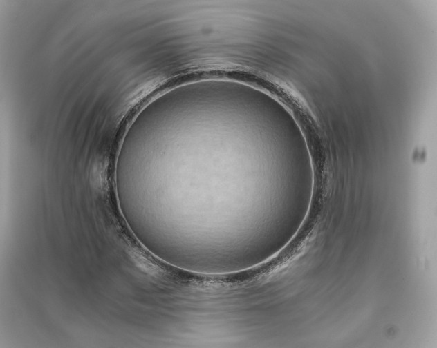 X0000091360873200708101417