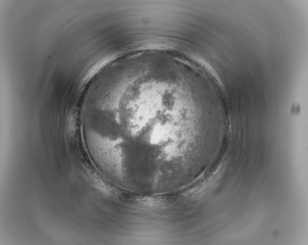 X0000091360874200708101417
