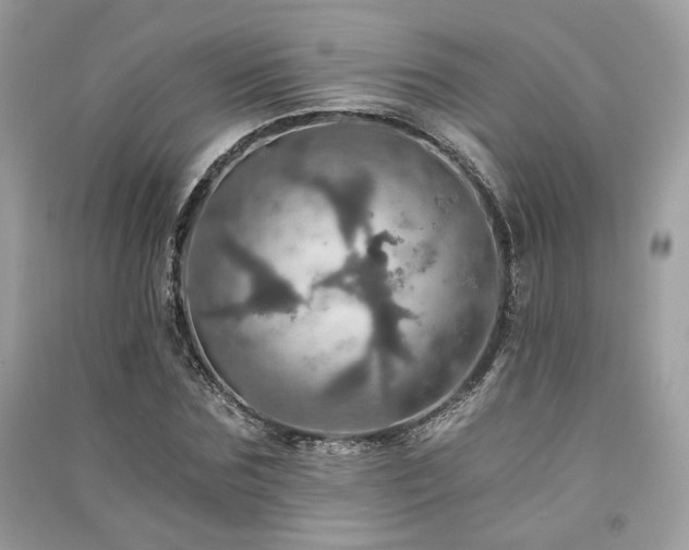 X0000091360875200708101417