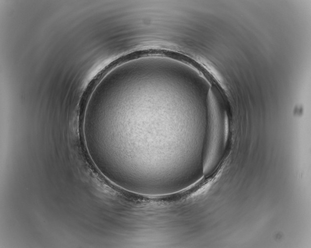 X0000091360877200708101417