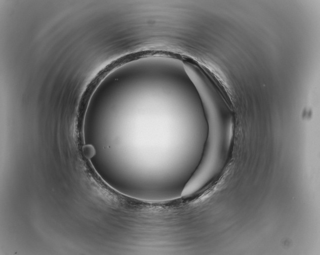 X0000091360880200708101417