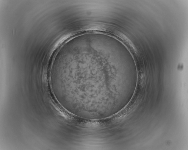 X0000091360882200708101417
