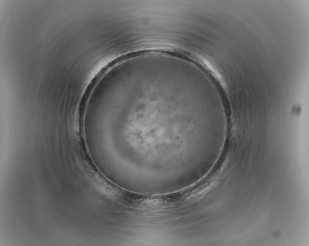 X0000091360883200708101417
