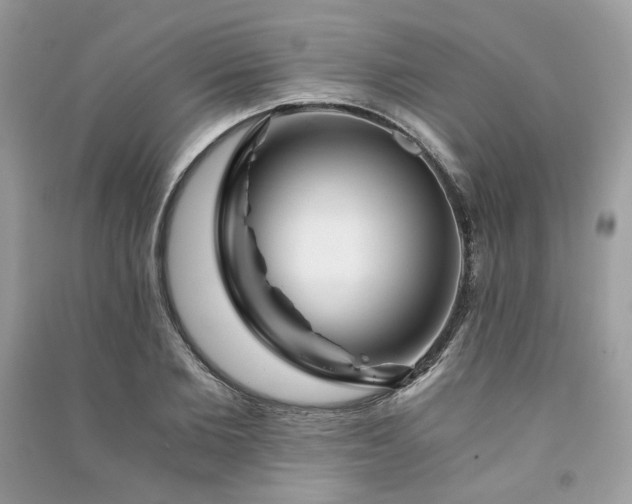 X0000091360885200708101417